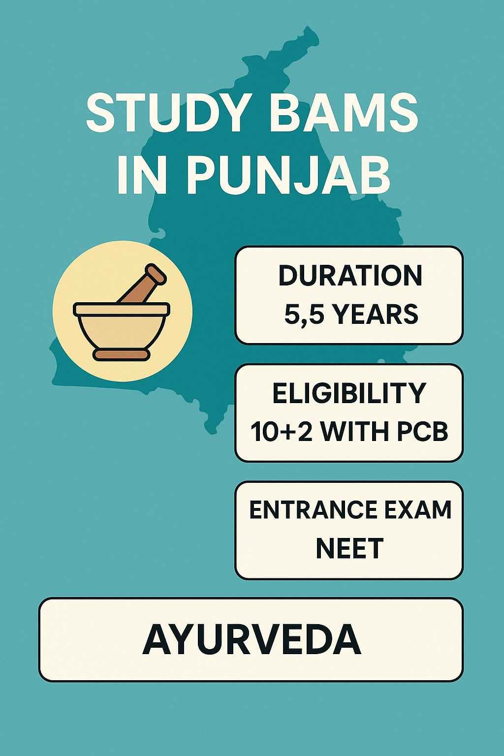 Study BAMS In Punjab